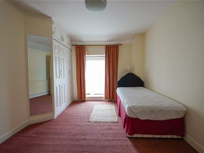 Picture 37